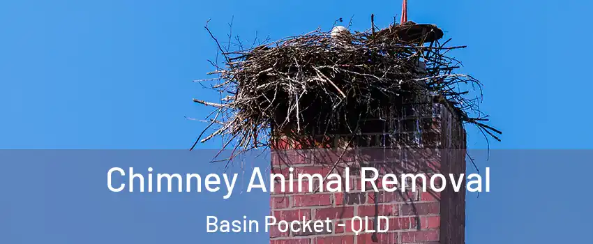 Chimney Animal Removal Basin Pocket - QLD