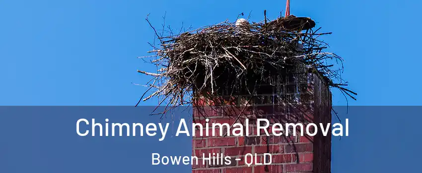 Chimney Animal Removal Bowen Hills - QLD