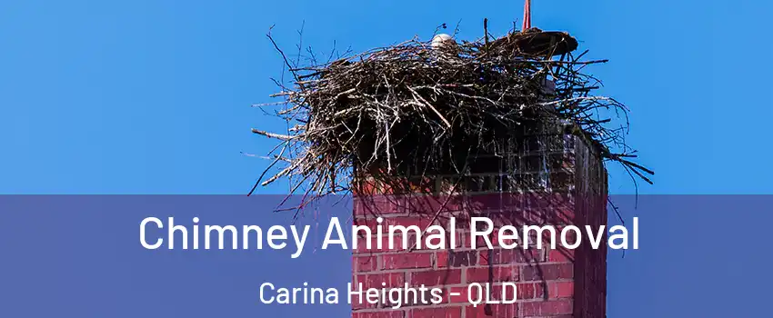 Chimney Animal Removal Carina Heights - QLD
