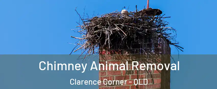 Chimney Animal Removal Clarence Corner - QLD
