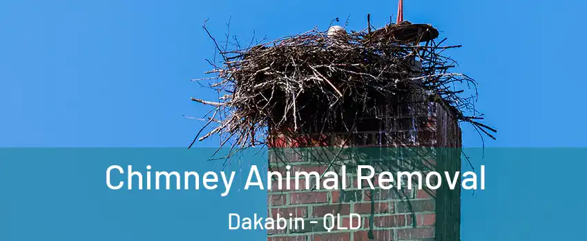 Chimney Animal Removal Dakabin - QLD