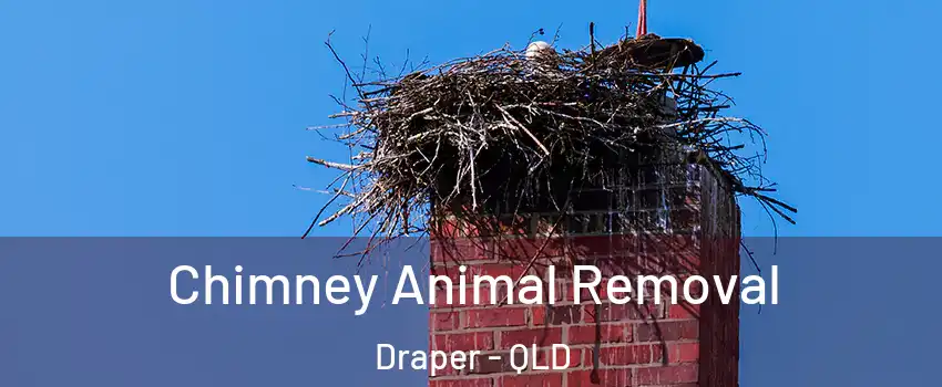 Chimney Animal Removal Draper - QLD