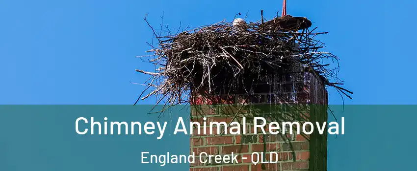 Chimney Animal Removal England Creek - QLD