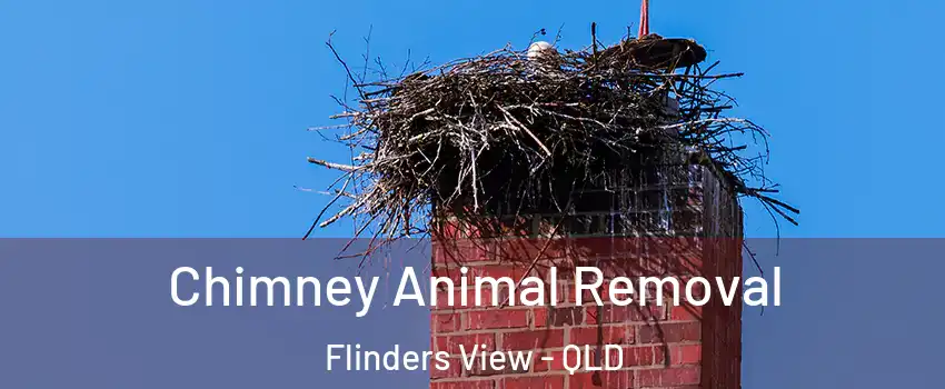 Chimney Animal Removal Flinders View - QLD