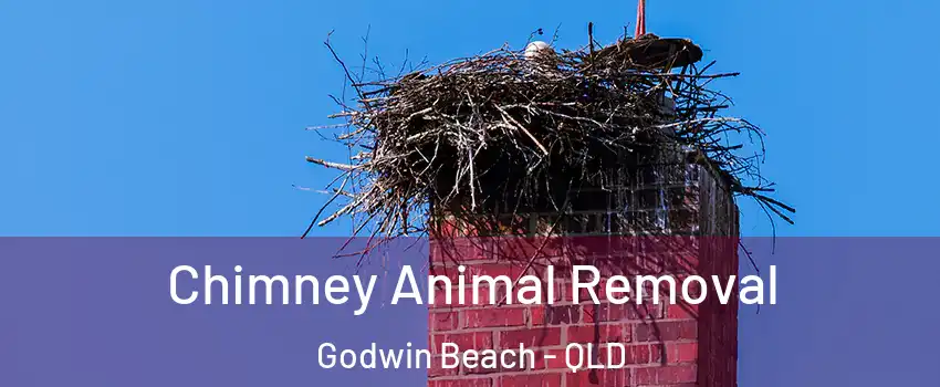 Chimney Animal Removal Godwin Beach - QLD
