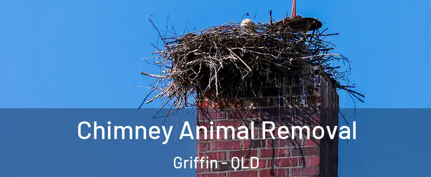 Chimney Animal Removal Griffin - QLD