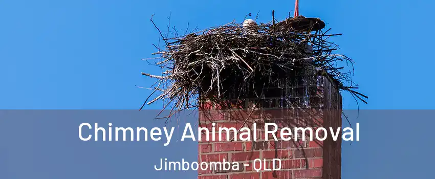 Chimney Animal Removal Jimboomba - QLD