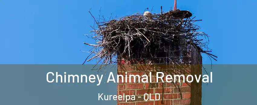 Chimney Animal Removal Kureelpa - QLD