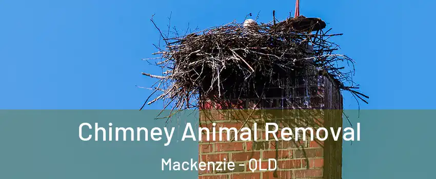 Chimney Animal Removal Mackenzie - QLD