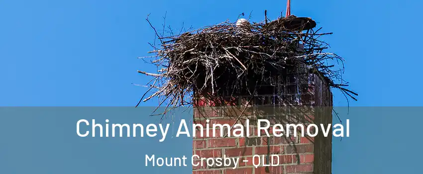 Chimney Animal Removal Mount Crosby - QLD