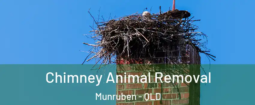 Chimney Animal Removal Munruben - QLD