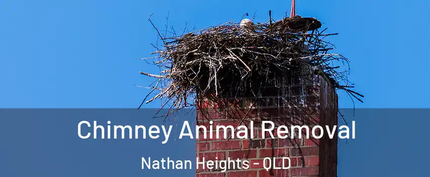 Chimney Animal Removal Nathan Heights - QLD
