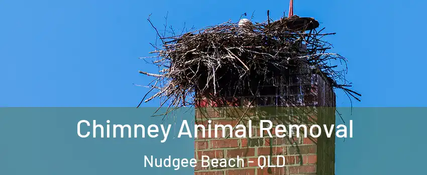 Chimney Animal Removal Nudgee Beach - QLD