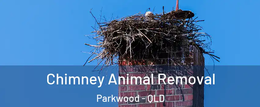 Chimney Animal Removal Parkwood - QLD