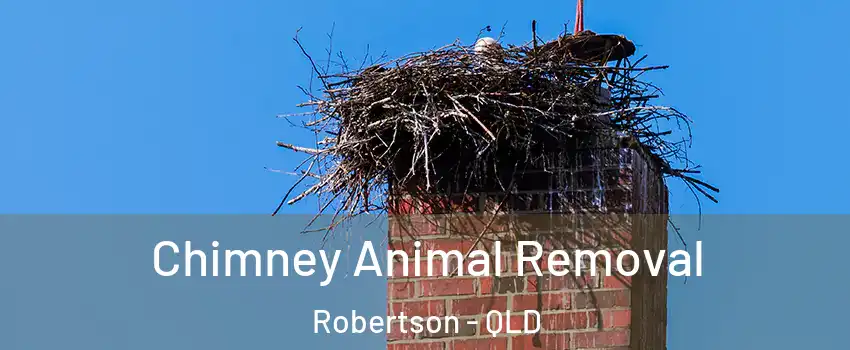 Chimney Animal Removal Robertson - QLD