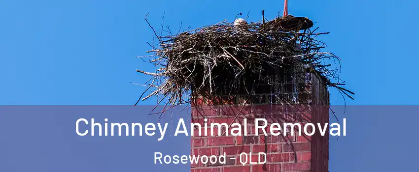 Chimney Animal Removal Rosewood - QLD