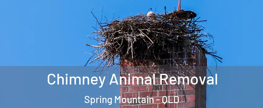 Chimney Animal Removal Spring Mountain - QLD