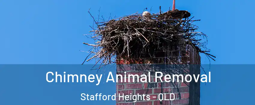 Chimney Animal Removal Stafford Heights - QLD