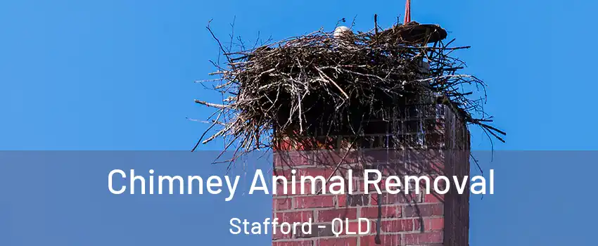 Chimney Animal Removal Stafford - QLD