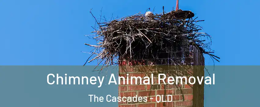 Chimney Animal Removal The Cascades - QLD