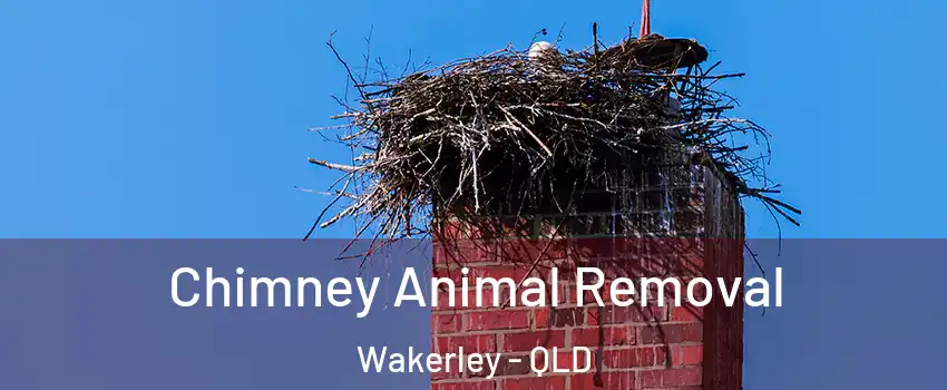 Chimney Animal Removal Wakerley - QLD