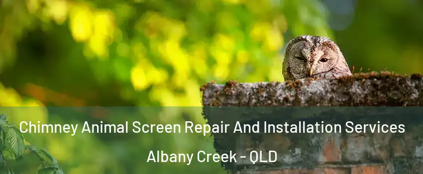 Chimney Animal Screen Repair And Installation Services Albany Creek - QLD