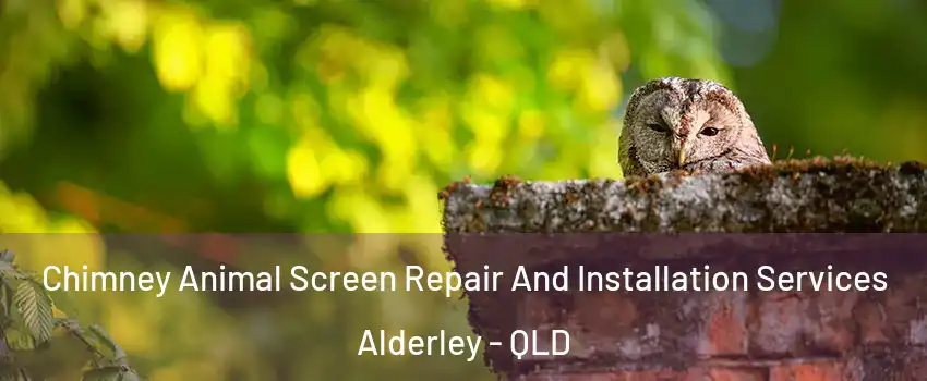 Chimney Animal Screen Repair And Installation Services Alderley - QLD