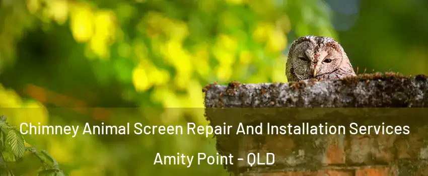 Chimney Animal Screen Repair And Installation Services Amity Point - QLD