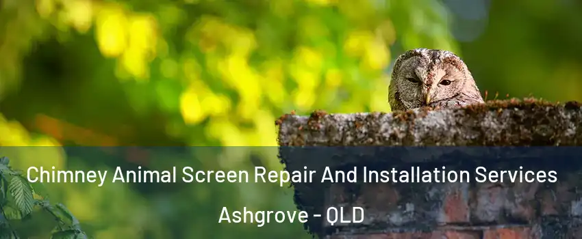 Chimney Animal Screen Repair And Installation Services Ashgrove - QLD