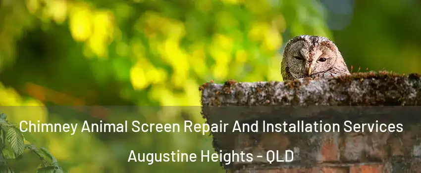 Chimney Animal Screen Repair And Installation Services Augustine Heights - QLD