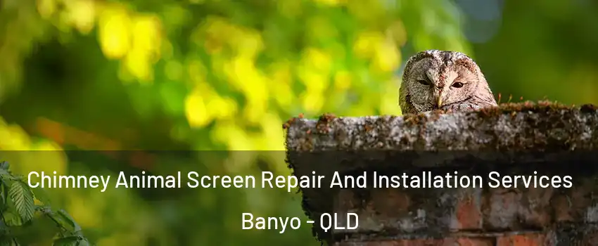Chimney Animal Screen Repair And Installation Services Banyo - QLD