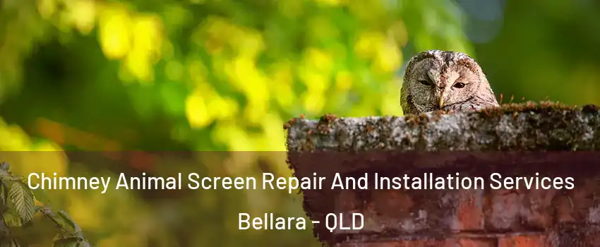 Chimney Animal Screen Repair And Installation Services Bellara - QLD