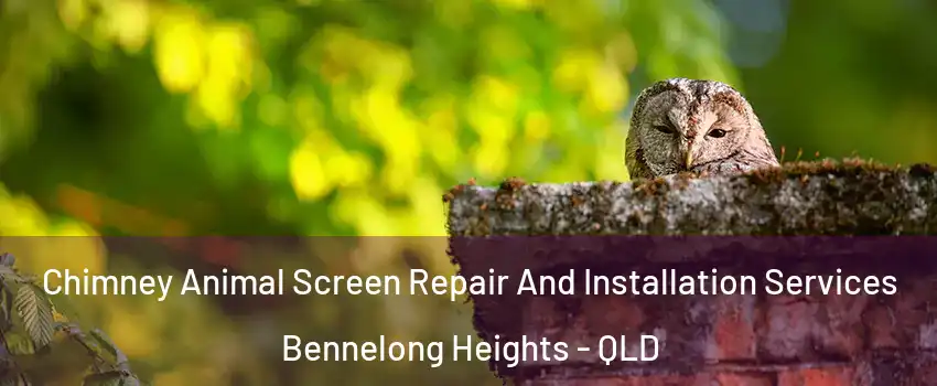 Chimney Animal Screen Repair And Installation Services Bennelong Heights - QLD