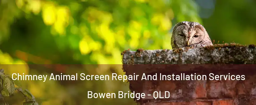 Chimney Animal Screen Repair And Installation Services Bowen Bridge - QLD