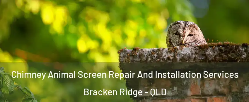 Chimney Animal Screen Repair And Installation Services Bracken Ridge - QLD