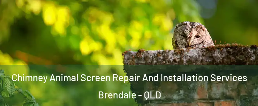 Chimney Animal Screen Repair And Installation Services Brendale - QLD