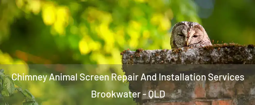 Chimney Animal Screen Repair And Installation Services Brookwater - QLD