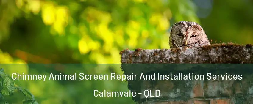 Chimney Animal Screen Repair And Installation Services Calamvale - QLD