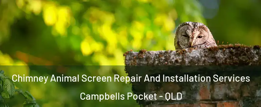 Chimney Animal Screen Repair And Installation Services Campbells Pocket - QLD