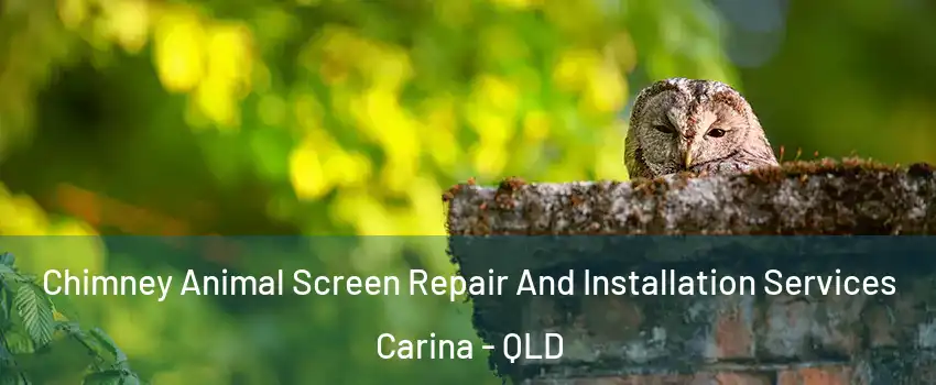 Chimney Animal Screen Repair And Installation Services Carina - QLD