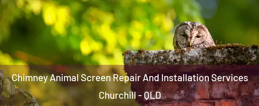 Chimney Animal Screen Repair And Installation Services Churchill - QLD