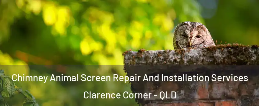 Chimney Animal Screen Repair And Installation Services Clarence Corner - QLD