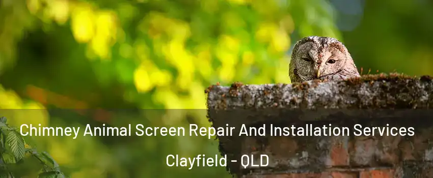 Chimney Animal Screen Repair And Installation Services Clayfield - QLD