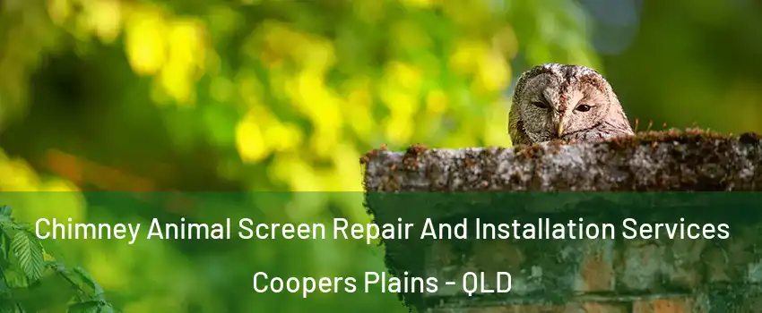 Chimney Animal Screen Repair And Installation Services Coopers Plains - QLD