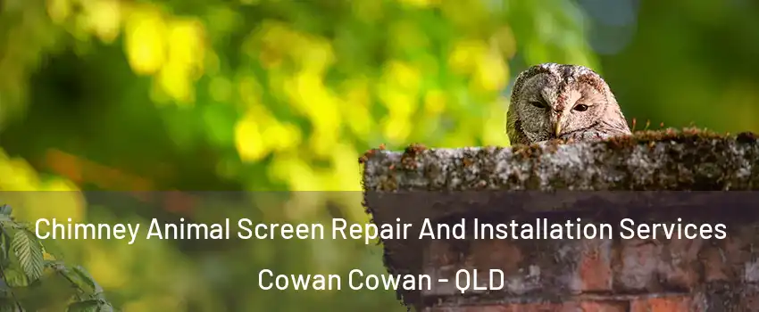 Chimney Animal Screen Repair And Installation Services Cowan Cowan - QLD
