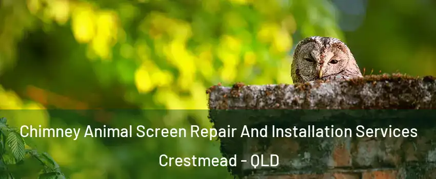 Chimney Animal Screen Repair And Installation Services Crestmead - QLD