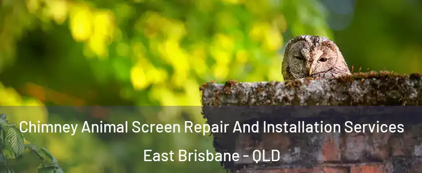 Chimney Animal Screen Repair And Installation Services East Brisbane - QLD
