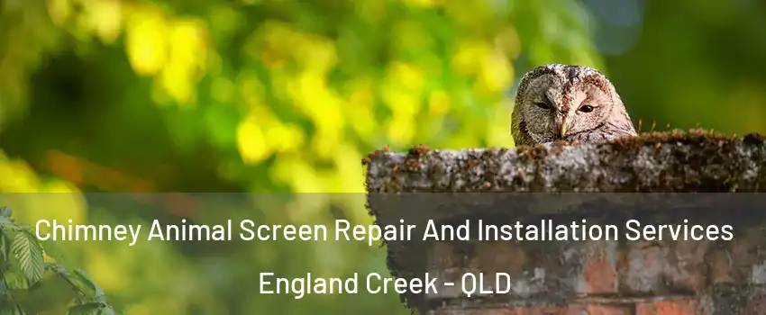 Chimney Animal Screen Repair And Installation Services England Creek - QLD