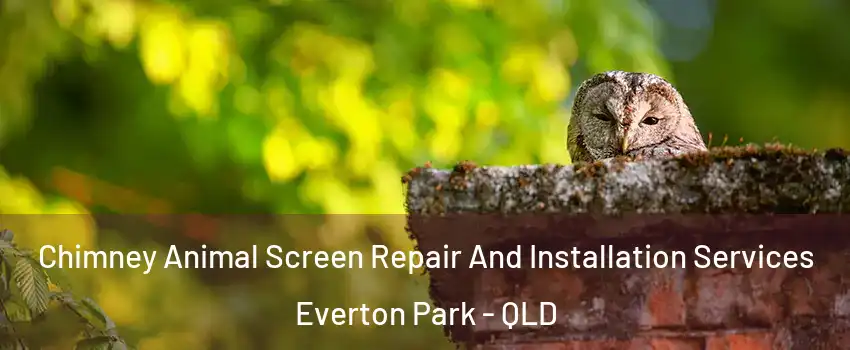 Chimney Animal Screen Repair And Installation Services Everton Park - QLD