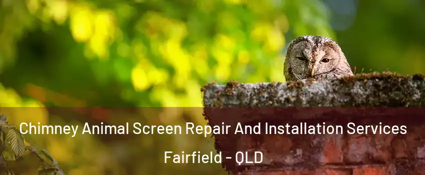 Chimney Animal Screen Repair And Installation Services Fairfield - QLD